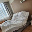 노블엘르산후조리원 | 노블엘르 산후조리원 VVIP 2주 후기 ③서비스