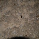 천주사 입구 이미지