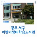 어린이생태학습도서관 | 광주 아기랑 실내에서 놀기 좋은 어린이생태학습도서관