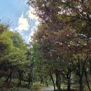 창원 광산사 목조보살좌상 | 마산 내서 가볼만한 곳, "광산사 문화 예술제"
