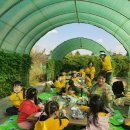 광명농장2 이미지