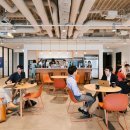 위 컴퍼니(We company) 이미지