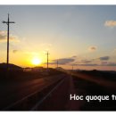 세유식당 이미지