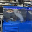 안산 센트럴 동물병원 이미지