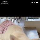 응급실국물떡볶이기업도시점 이미지