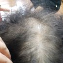 우암경로당 이미지