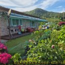 진도죽림형제민박 이미지