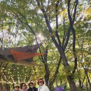 10월 걷기-보라매국제정원박람회 이미지