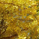 청한농장 이미지