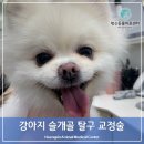 행신동물의료센터 이미지
