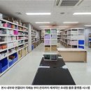 샤이홀딩스 이미지