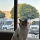 햄튼타워 | 2025년 8월 9월 튀르키예 이스탄불여행 이스탄불맛집 하피즈무스타파 베이란