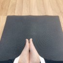 로피다요가