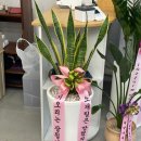 기오리