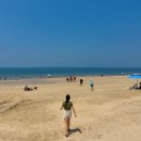 씨유대천분수광장점 | 보령가볼만한곳 대천 스카이바이크 예약 주차 현장예매 후기