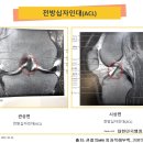 장애행정사사무소 티스토리