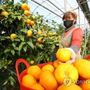 제주프린스산업