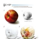 소묘/수채화 이미지