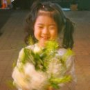 한아름꽃방 - 안산시 상록구 석호로 274 | 한아름꽃방