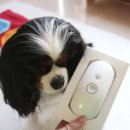 라엘동물병원 이미지