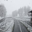 대왕농장 이미지