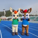 울진종합장식 이미지