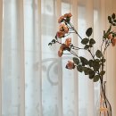 그레잇멍데잇 이미지