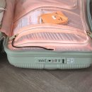 TSA | 여행의 시작은 캐리어부터! 내돈내산 아메리칸 투어리스트 INSTAGON 캐리어 55/20 EXP TSA 후기