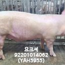 이승수농장 이미지