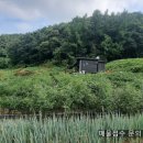 이미숙농장 이미지