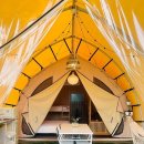 스테이그린 이미지