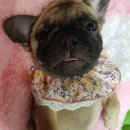 여주-0117 이미지