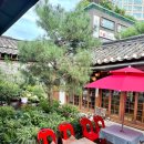 사람과나무 이미지