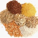 유산균 건강카페 이미지