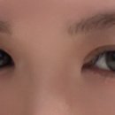 제이영래쉬