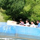 합기도 대구관 이미지