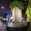 모다아울렛 B동 앞 이미지