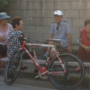 바다출동 이미지