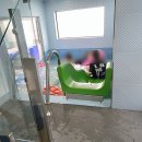 피코 울산지점 네이버블로그