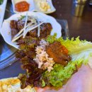 최김질께 이미지