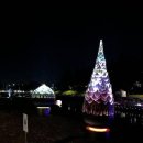 강남대로101안길 24 이미지