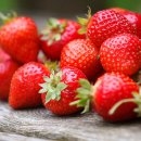 라.FRUTA 이미지