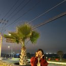 제이&J 삭스(양말) | [제주 도두] 라운지J &amp; 도두몰 / 제주항공에서 운영하는 소품샵이 있다고요?