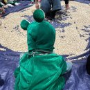 차문화센터1 이미지