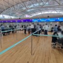 타이라오 이미지