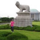 로하스수학