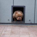 KGB KENNEL 네이버블로그