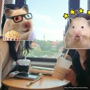 팬더호텔 | 연태 옌타이 여행 - 조양가 (팬더호텔, 스타벅스 리저브, 종서각 서점, 바다 노을 스팟 추천)