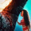 모아나(moana) 이미지