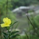 일성지리산콘도미니엄 이미지